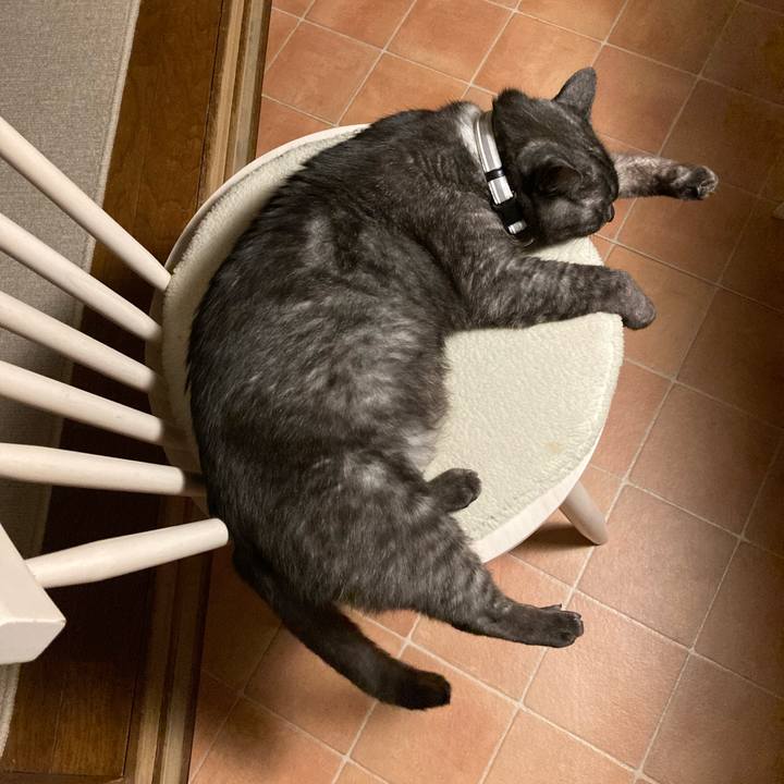 72c32e48 e969 44d5 9a9e b0a8ec77120b 1764495659014