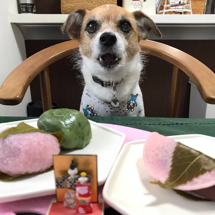 72c353ab 6be1 4107 a405 551a3c8646de 1551604343387