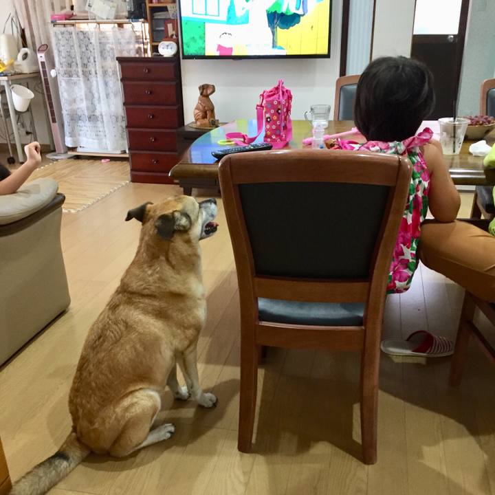 72c36f96 d265 457b 8466 307b74c71579 1534641969157