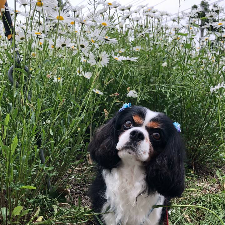 72c37096 9560 4e6c b023 b14b8162b373 1527671466895