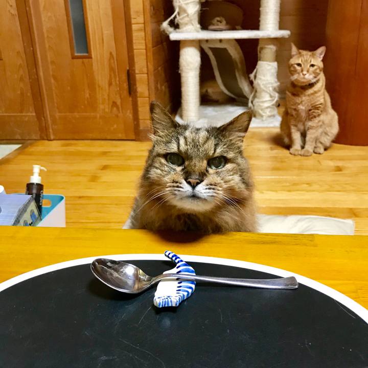 72c3c3a6 9fe4 4786 aced 0b038ed082a7 1597026705105