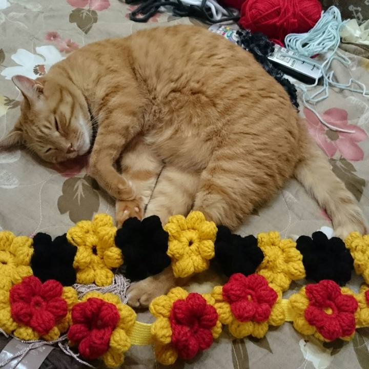 72c3f3f2 1b4e 497a a42d 046d5f13f8de 1540114628006