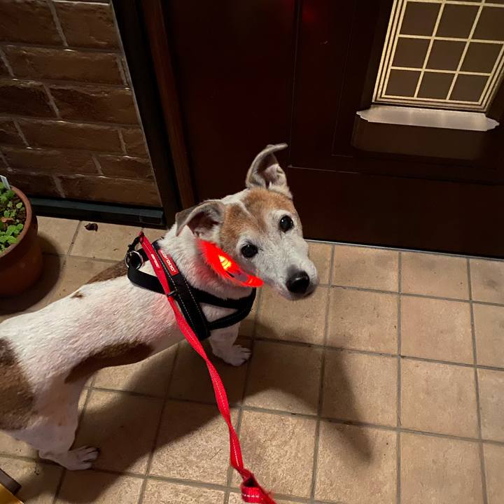 72c417f4 54b8 4e34 9c1d 5509e225fd40 1611224207775