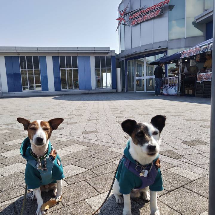 72c451c1 f956 4f4b 86b1 d54de23dc963 1742533660320