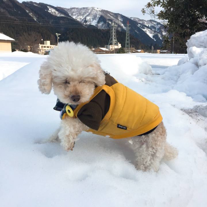 72c45343 3c4a 4534 8096 f7e592011087 1517891849455