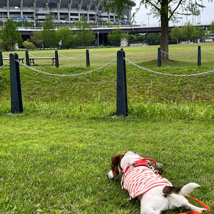 72c473a7 8c2c 4d0e a264 fe69b62e7946 1713697967874