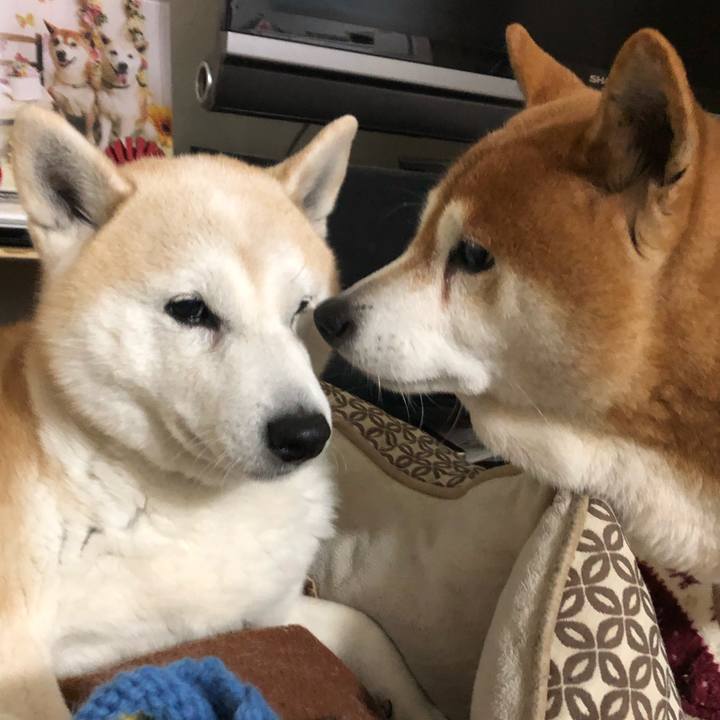 72c490b8 06b8 4468 8b8b 956e2b7c6ae4 1551700240364