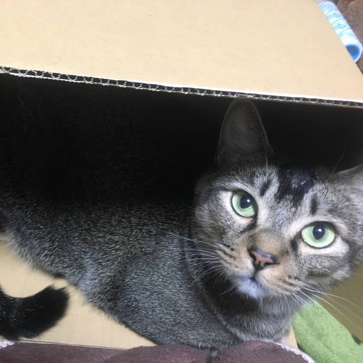 72c4a4ea 12b2 4bd2 a177 f7610c23b867 1571298341090