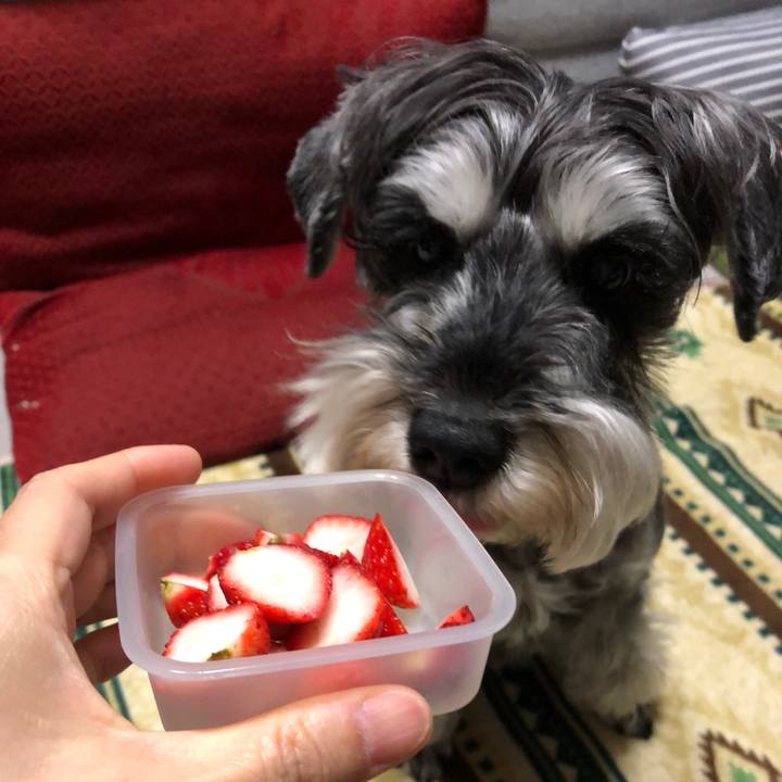 72c51edd f92d 48db 9406 5173ef9cbbe0 1652368564741