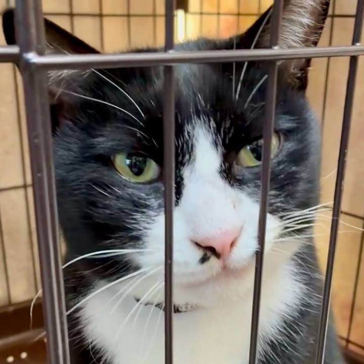 72c5878d 142d 456c 8b08 2105c51598db 1763776593676