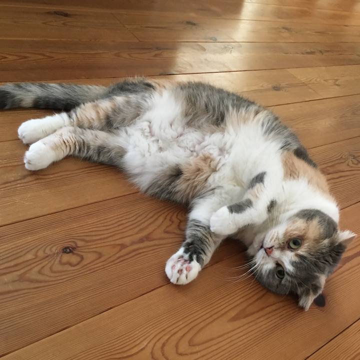 72c5c25d 11aa 4b8d b982 fe48fd4f60e3 1590619113430