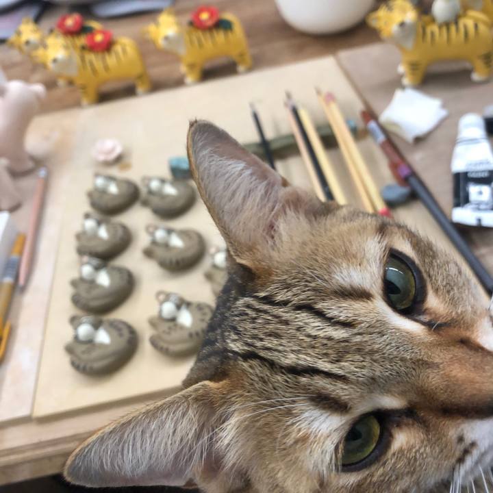 72c5d8f4 bfd4 4468 993f b7ee30a2cd13 1642678397220