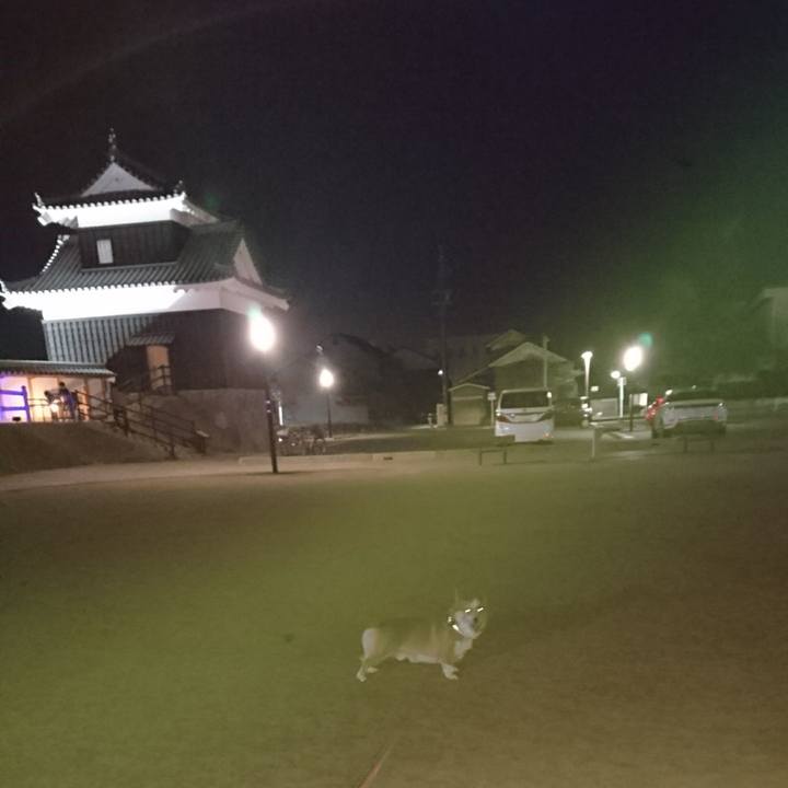 72c5fd10 a3fe 4618 a68c 25216b860d54 1605958830379