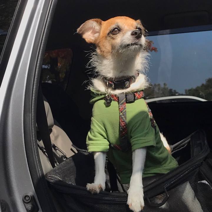 72c64196 2fe1 426e b372 b5bcf8da0345 1572568316744