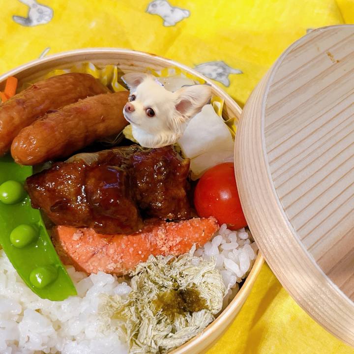 72c66ebb ed80 4ebd 804f 45b0cd7f6e08 1705478792902