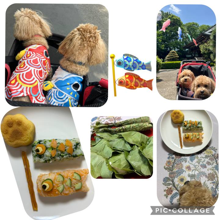 72c681fd c878 403e aff1 26e8a43ceda2 1746474981693