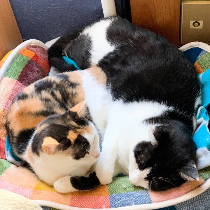 72c68a16 7eeb 4fe7 8a25 3f275d15d30e 1574822214424