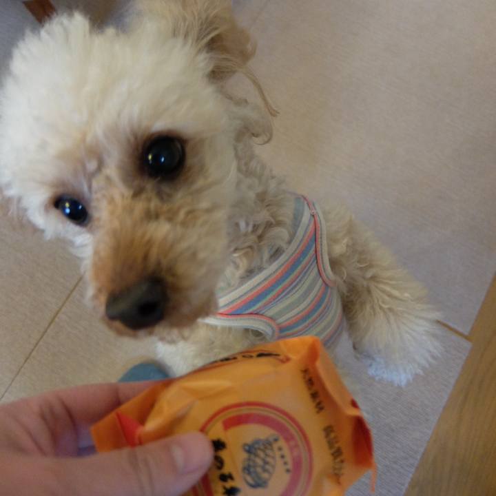 72c6917c f8dc 4c8f 962b 0e156750b560 1642417454355