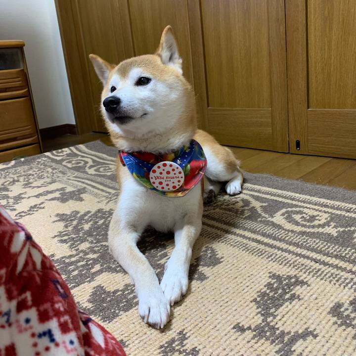 72c6be53 94d3 4ca7 a8e8 54e088429214 1639220058282