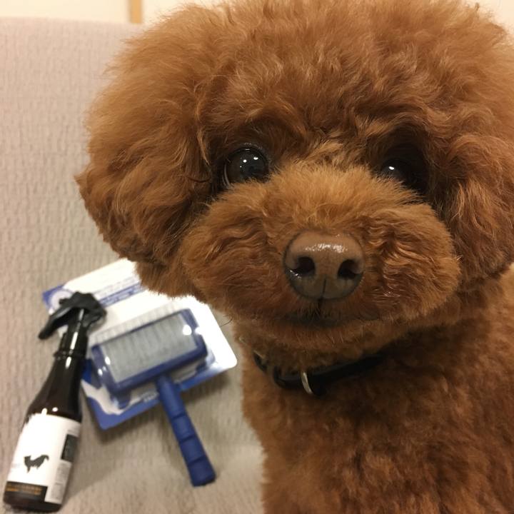 72c6f365 e8b1 4f10 8fc5 e0c90d99b007 1526211889638