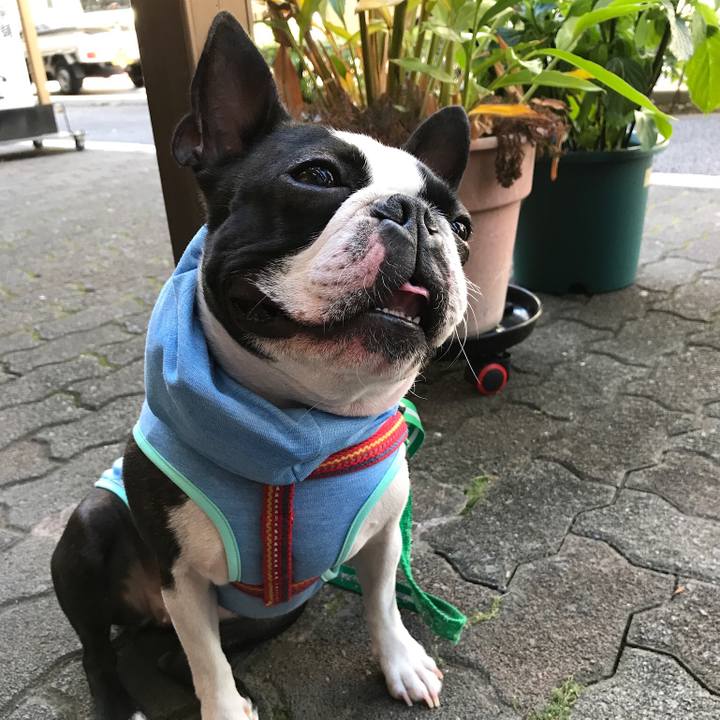 72c75f5e e7b7 4899 92ef 595fe052716c 1564128791558