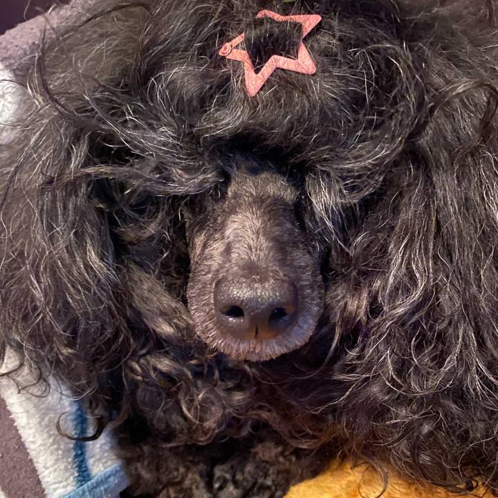 72c77fc4 ba81 4841 be90 f14ce781c4dc 1671241199817