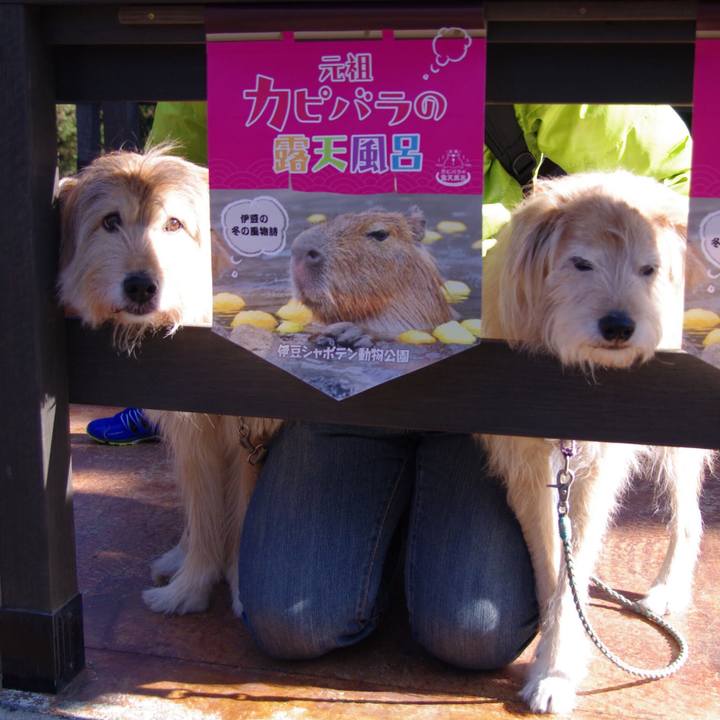 72c780fa d073 4593 b1ac 131d89dcd18b 1579557151362