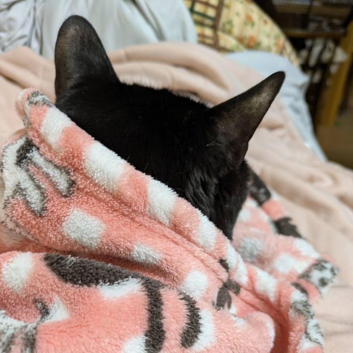 72c7a0f5 6c6f 479f 9e14 0bf5388d7a1f 1774007653461