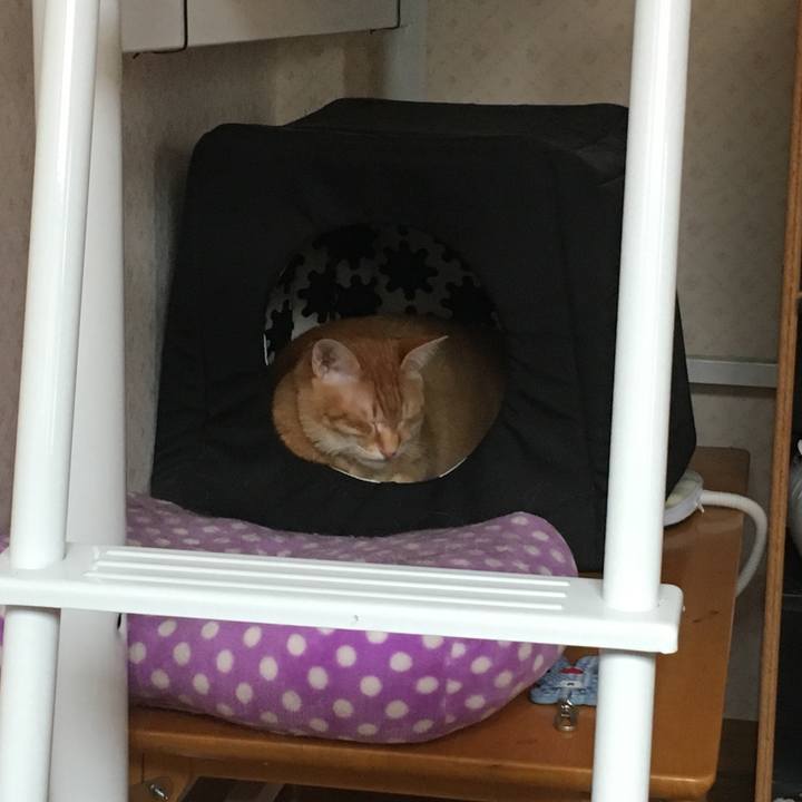 72c7c9bc 9240 439d 8394 ea114cfc64b2 1552180706593