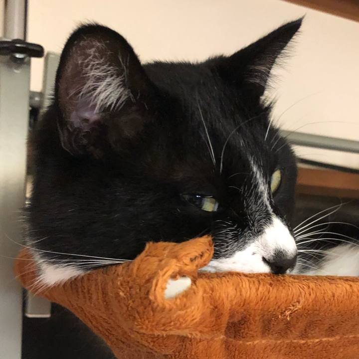 72c7e64c 6c5b 4997 803a 3ba06abe3875 1549184683054