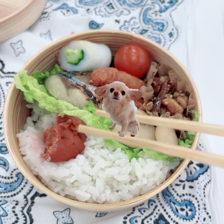 72c7ffe3 6f2f 4272 9a77 5e3855b0f1c7 1712844760411