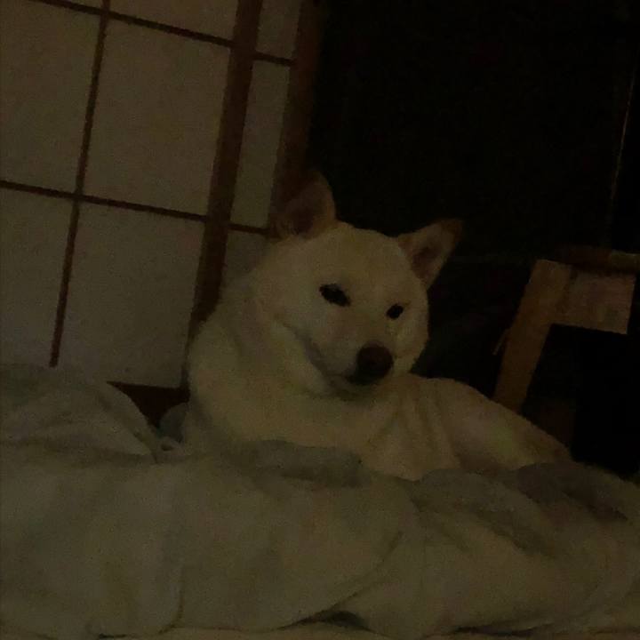 72c84004 a5f1 481d 9ad2 227a1a25f6c1 1598014763243