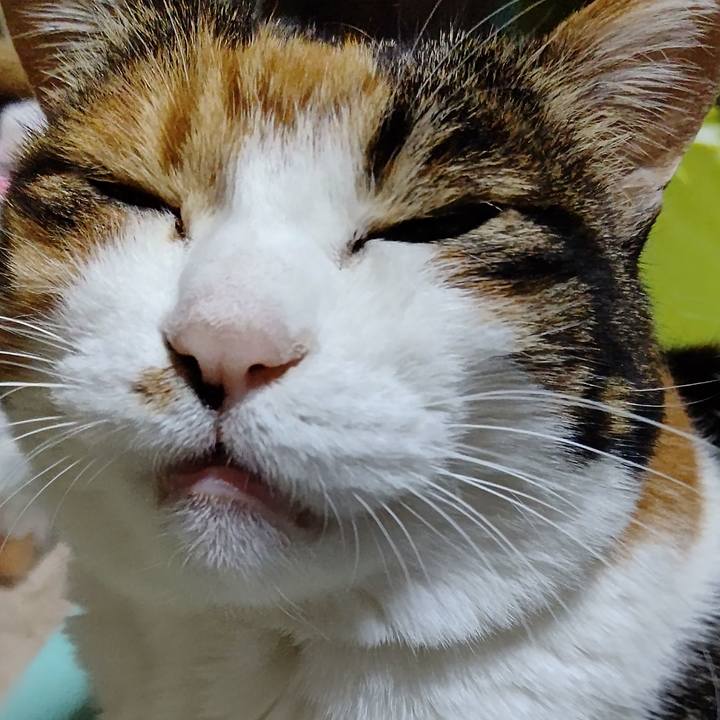 72c864da 5b00 4314 96a5 e8728ccf4c0d 1641762519794