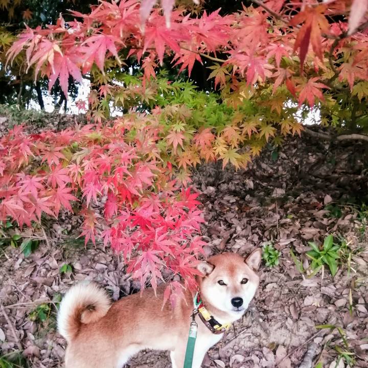 72c8662c 6a96 4347 85ab 20b724097826 1638000380312