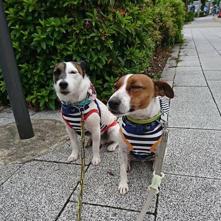 72c8851e a461 4ef1 a4f1 c97ba1e69106 1589755944203