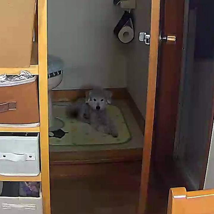 72c8a7cd c02c 43a4 9b15 d8423266ccaf 1623898022064