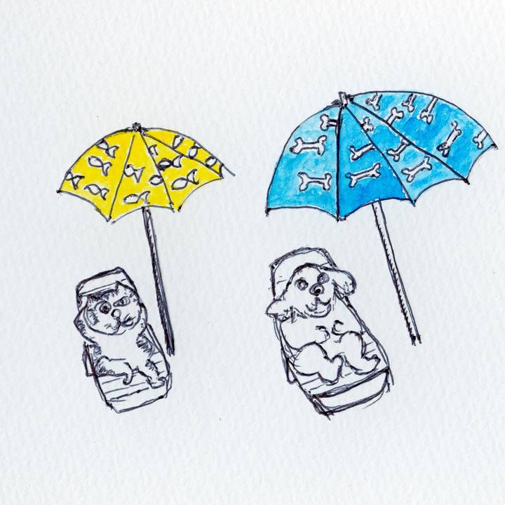 72c8ab94 d0ba 4376 8242 6cc54e1acf7c 1597584043749