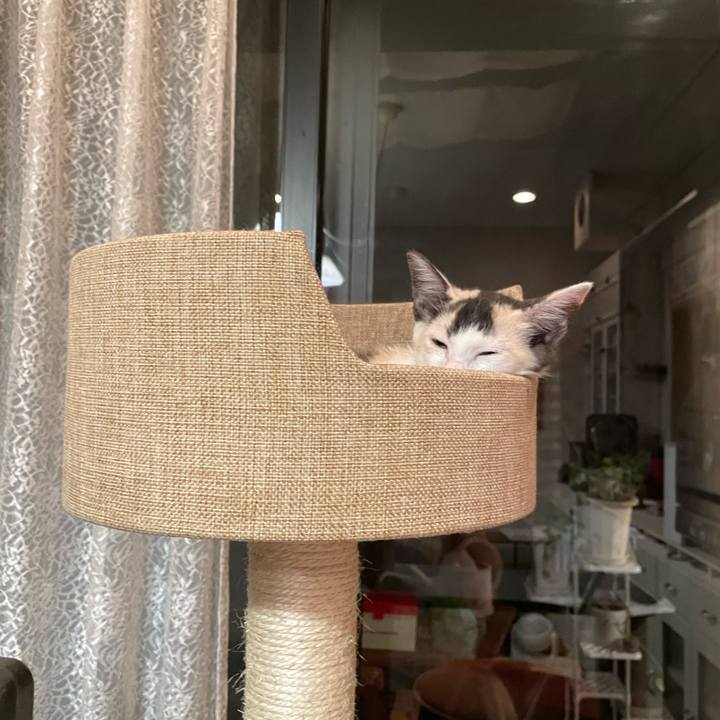 72c8abb6 0ee0 4f5f 8dfe f4380a70e47b 1658148346239