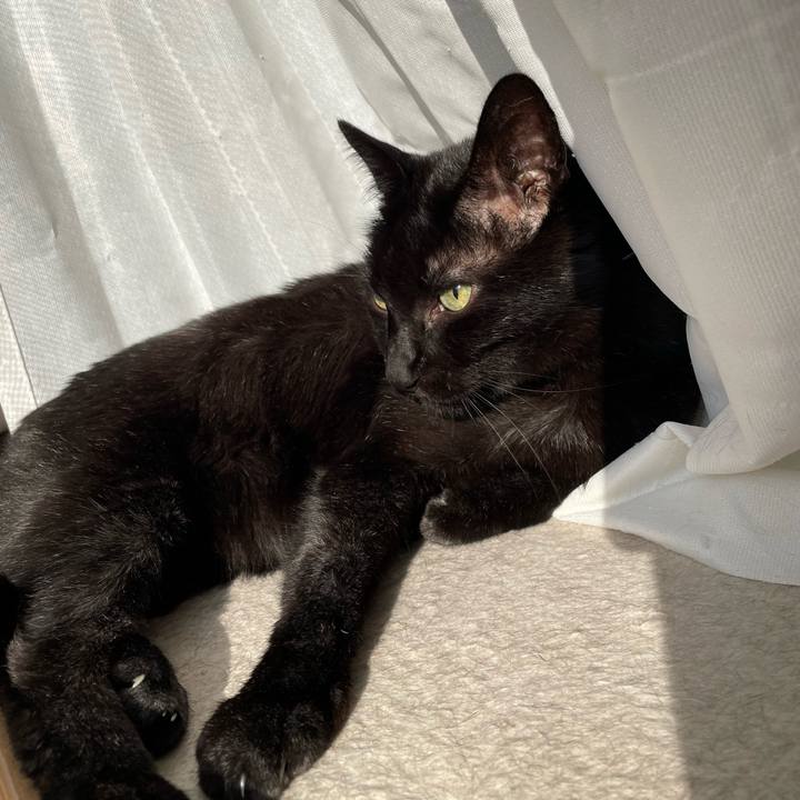 72c8d7f5 afb2 4de5 aecf efb0948eed29 1646358104798