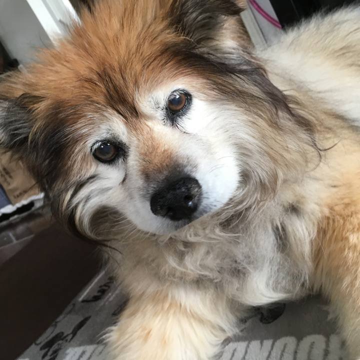 72c8e851 53be 421d 9777 d99fffd3dc98 1583693329060