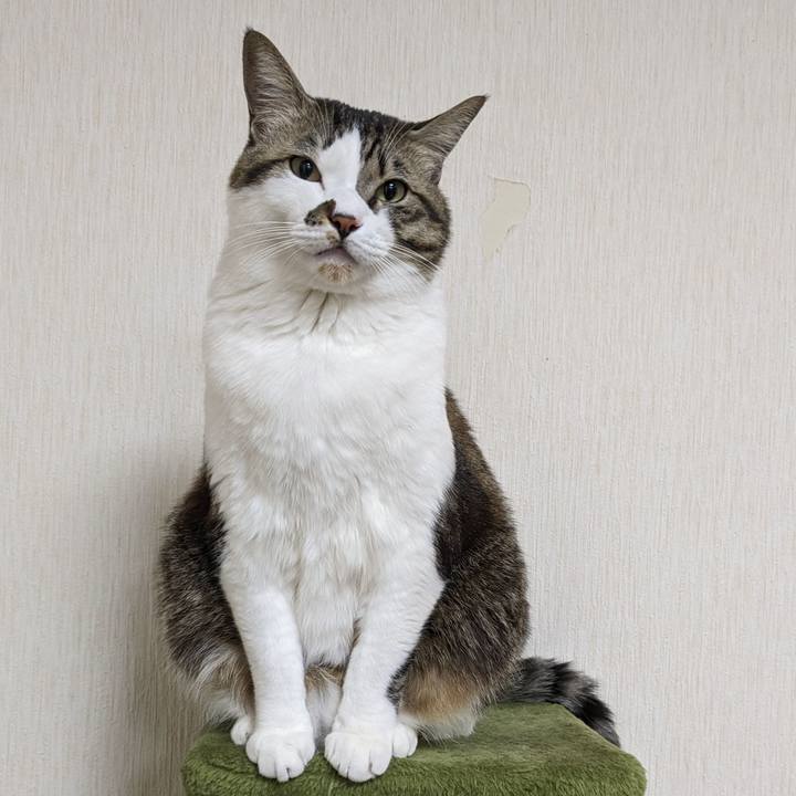 72c90ac7 9bea 44bd b180 a31b85c0de1b 1705402725014