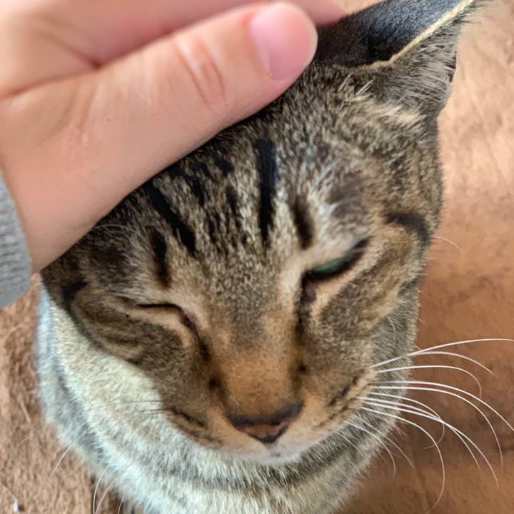 72c914cd 41b1 4adf 97a7 3f82da44057a 1550366906231