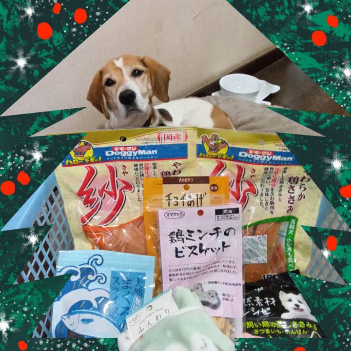 72c93108 26d2 4e42 81ca 14c846f83228 1735202091113