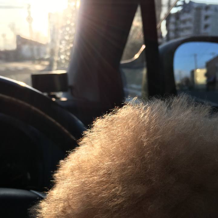 72c962db 7b57 4070 9735 e04e5554d22d 1509922373644