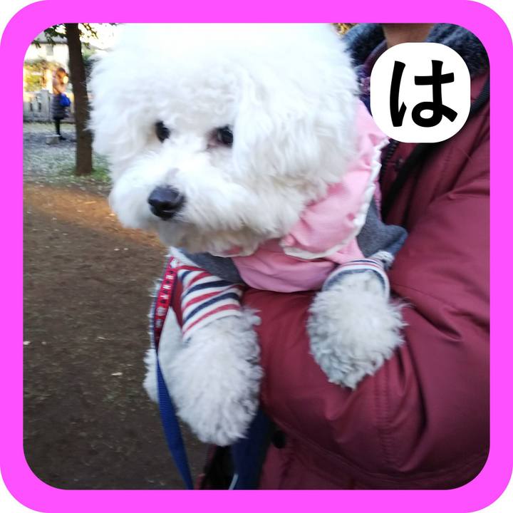 72c9b6e1 0477 4c4d 8bcc 2c970f3596e2 1514794753481