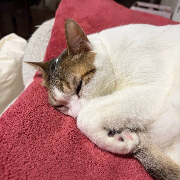 72c9c738 e167 4d73 814d 1cd978d9b9b7 1768776083342