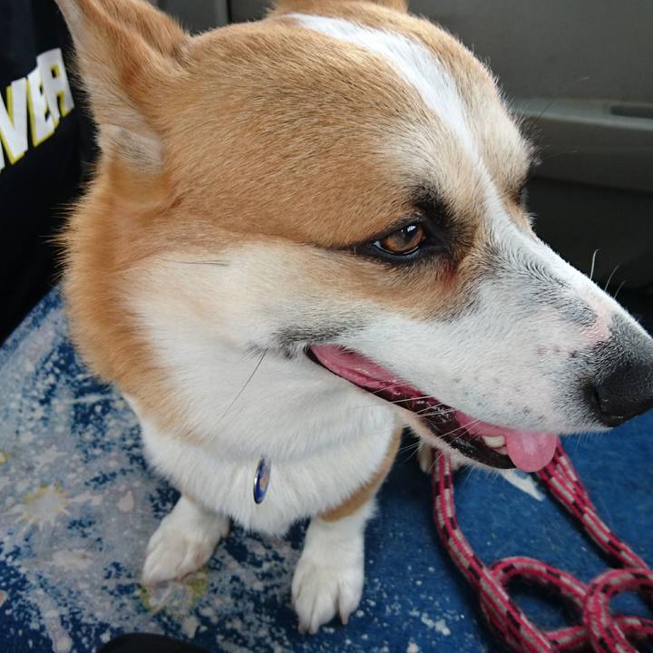 72c9cba5 4b0c 4552 a274 7a184ac3e117 1621660689850