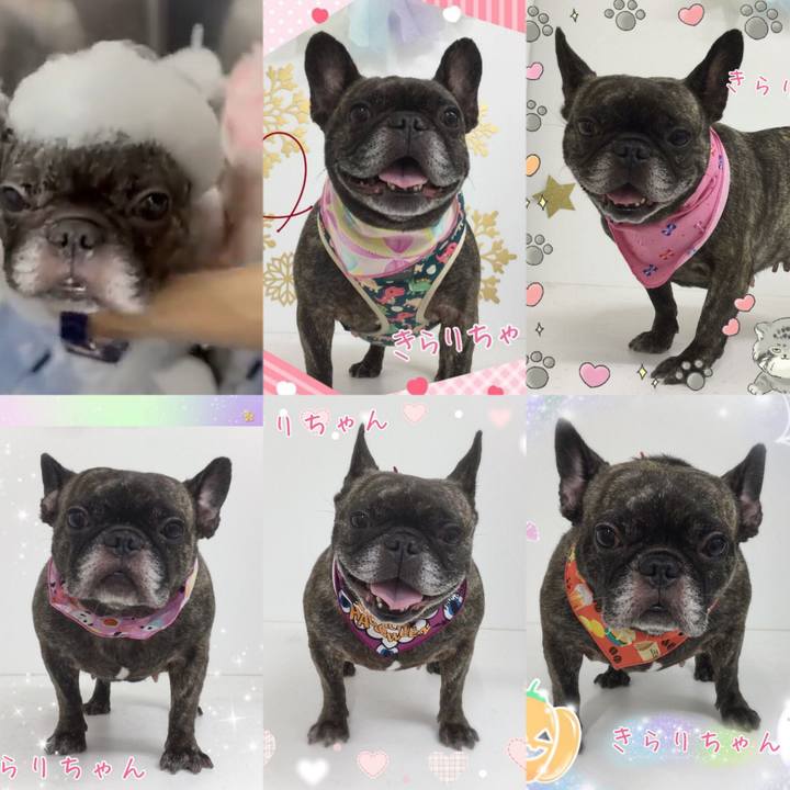 72c9f957 7ed8 4e82 baa0 7b6bdaf97fc1 1699739345537