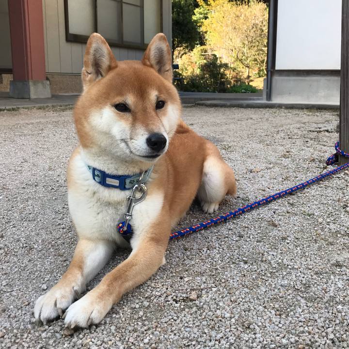 72ca069d 71f8 4fd4 993e 7aa40d93fee6 1601964002601