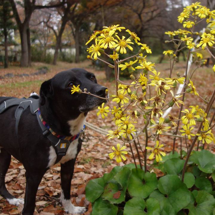 72ca1863 f2ba 4db4 bd15 1467c3f2bef4 1639096684832